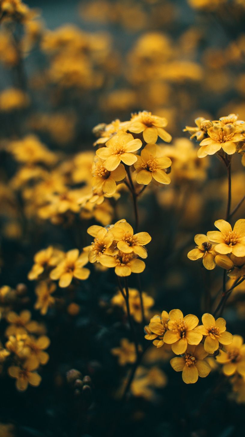 Uma foto realista em close-up de flores amarelas