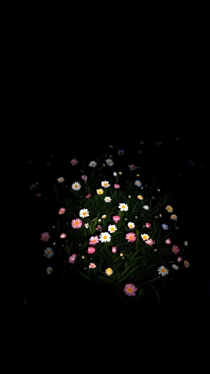 Un bouquet de marguerites colorées éclot sur un fond noir
