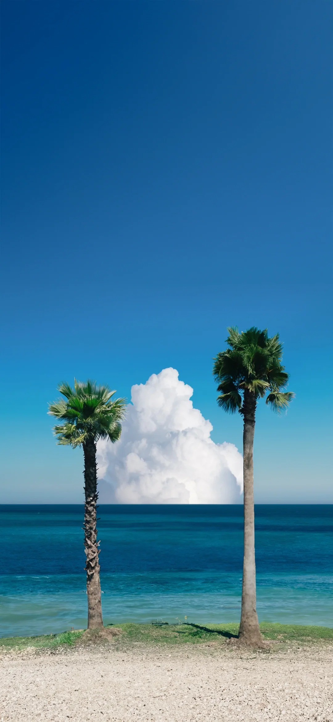 熱帶海灘的日系夏日風格畫作展示了兩棵對稱的棕櫚樹和潔白的積雨雲