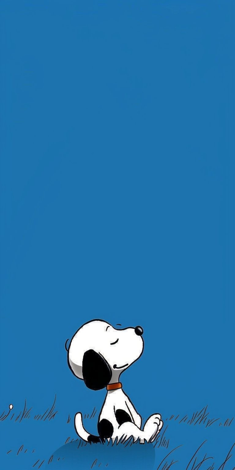Wallpaper