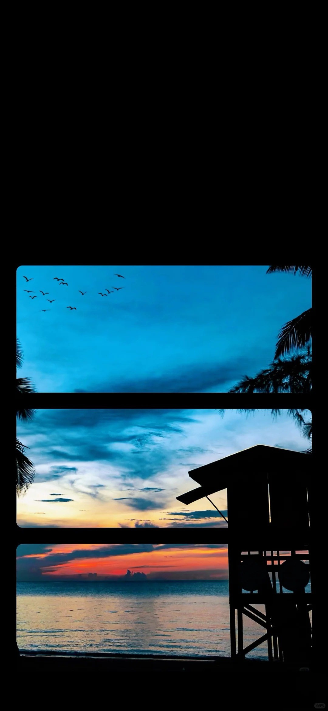 Creative seaside wallpaper features a sunset beach and bird silhouettes