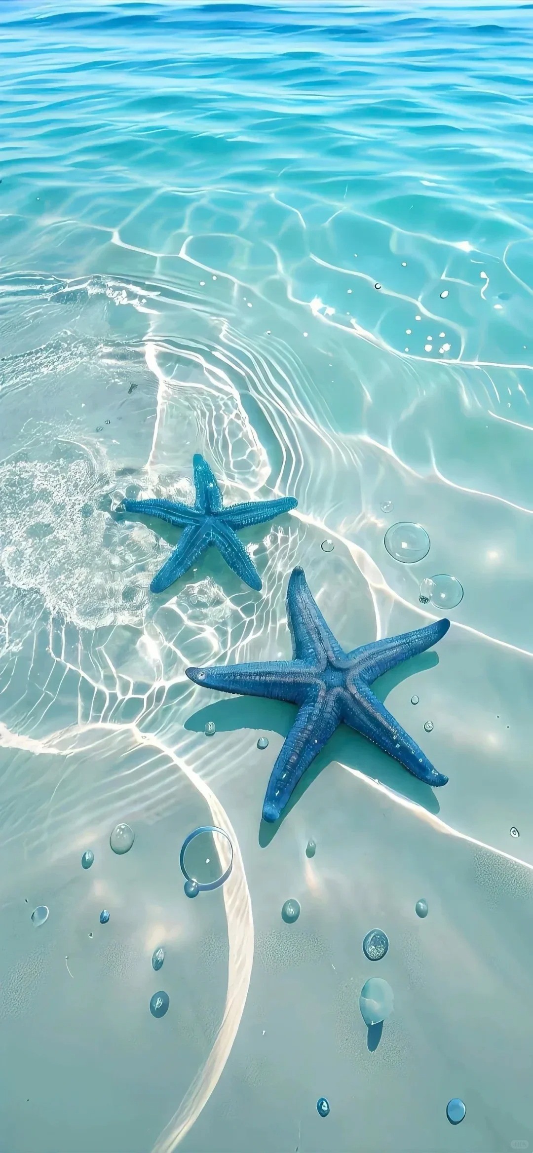 Blue starfish in clear seawater