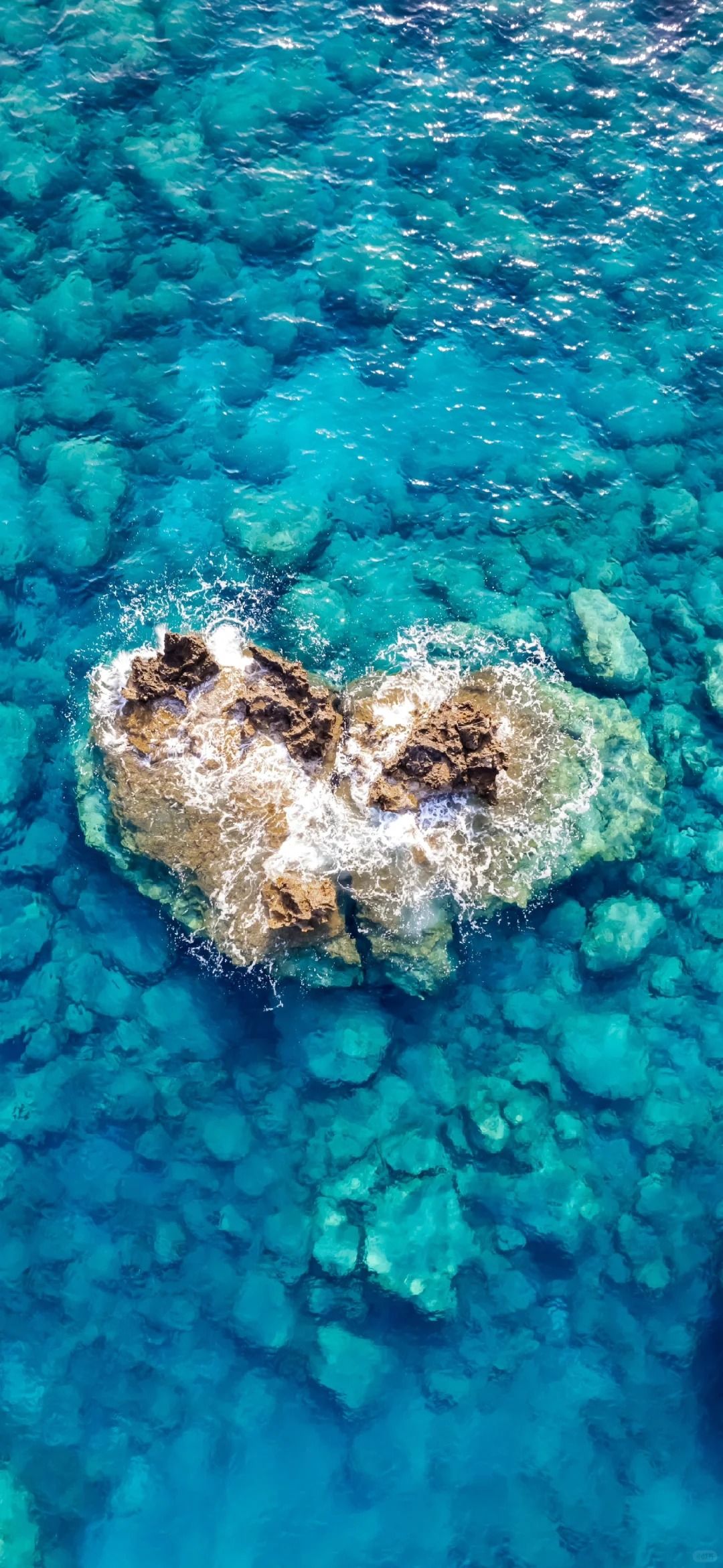This heart-shaped reef wallpaper is romantic and layered, perfect for lovers