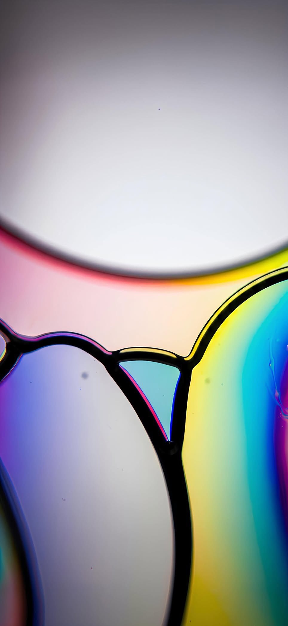 A macro photograph capturing a soap-bubble-like surface with organic cell-like boundaries and shifting colors