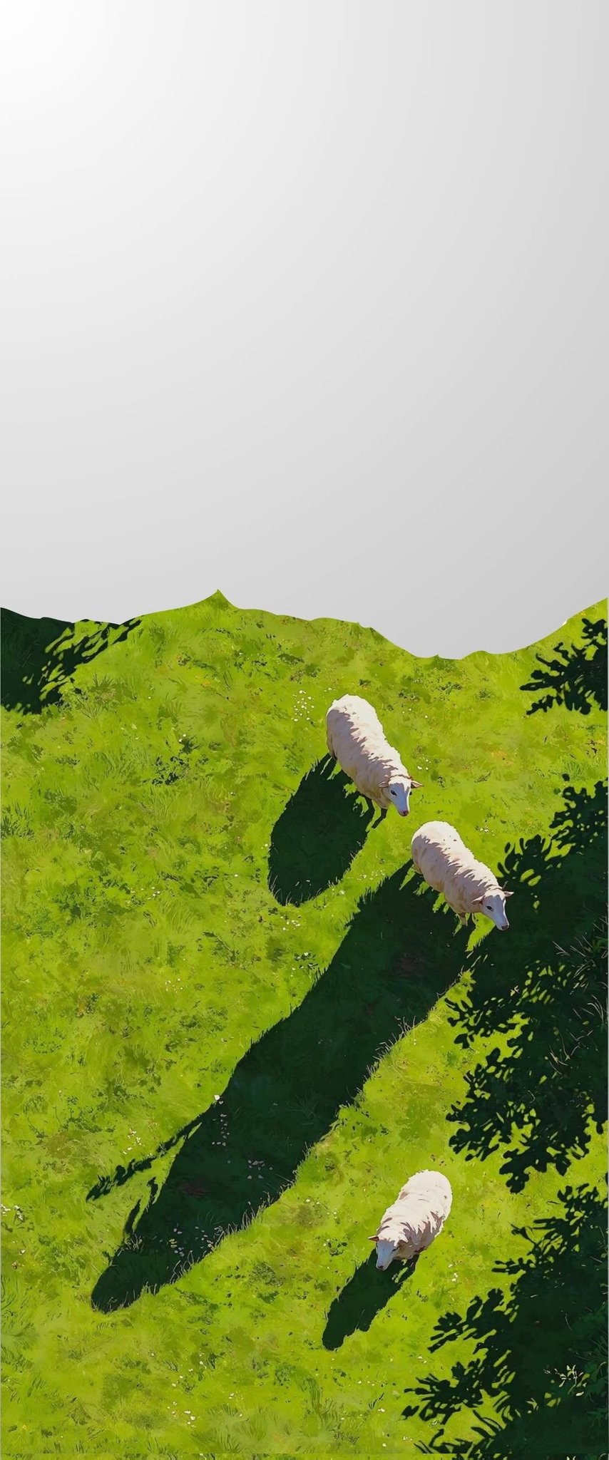 Wallpaper