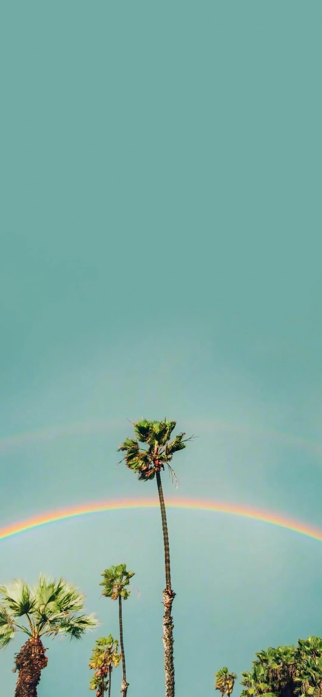 The wallpaper features palm trees and a complete rainbow under a mint-colored sky