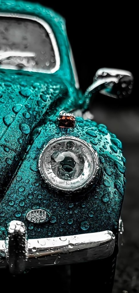 Wallpaper
