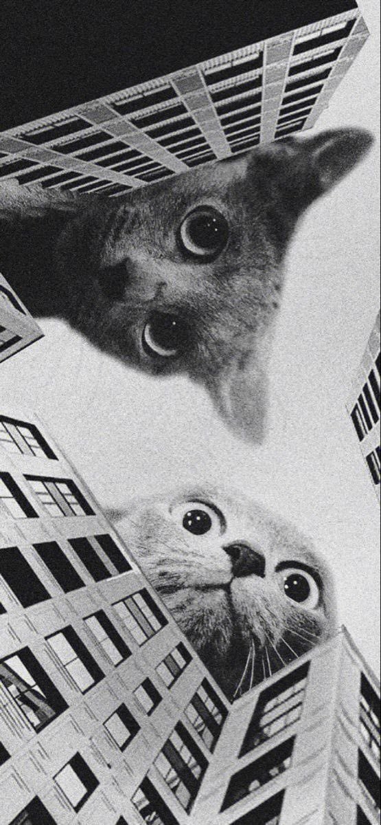 Un montaje fotográfico surrealista que combina las caras de gatos con rascacielos modernos
