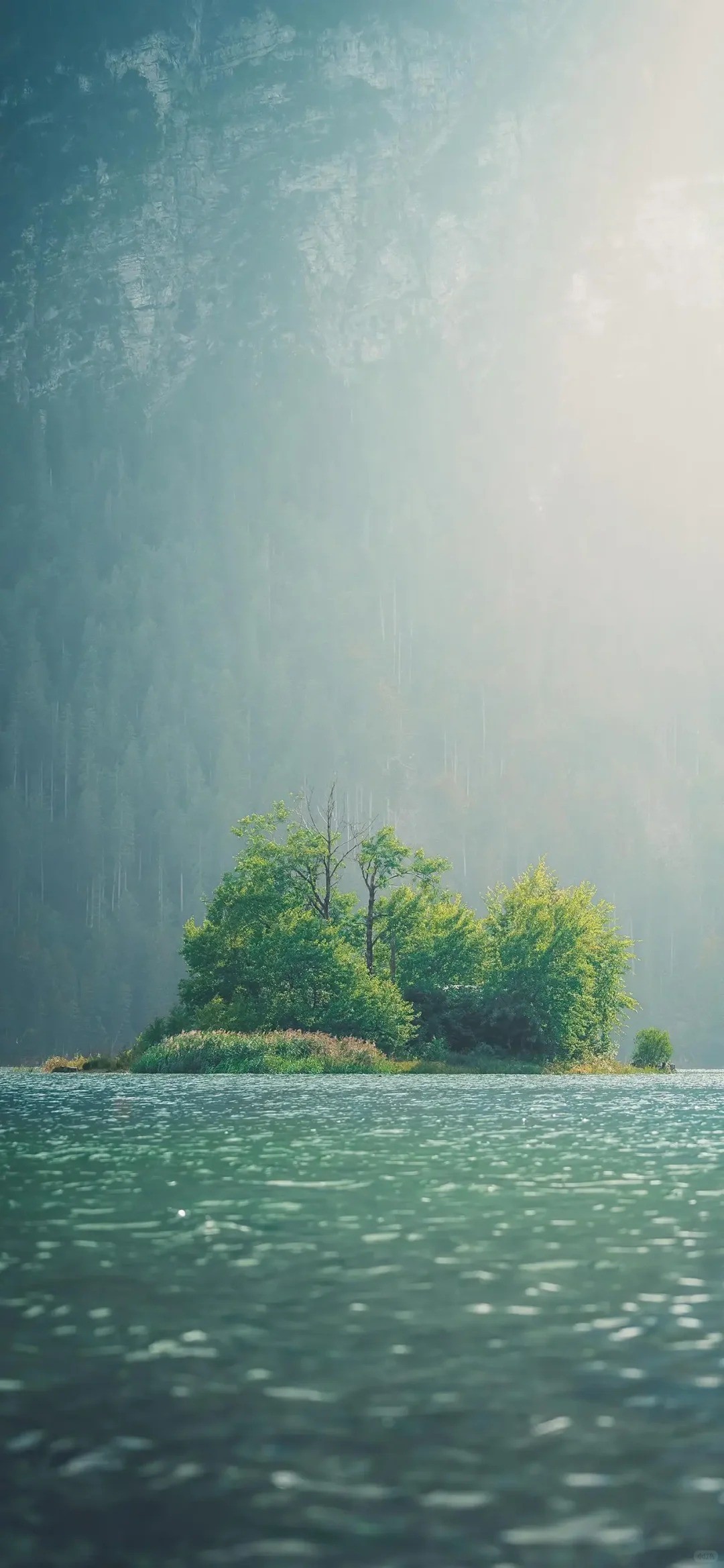 The morning mist lake island wallpaper showcases a hazy mist and quiet green trees