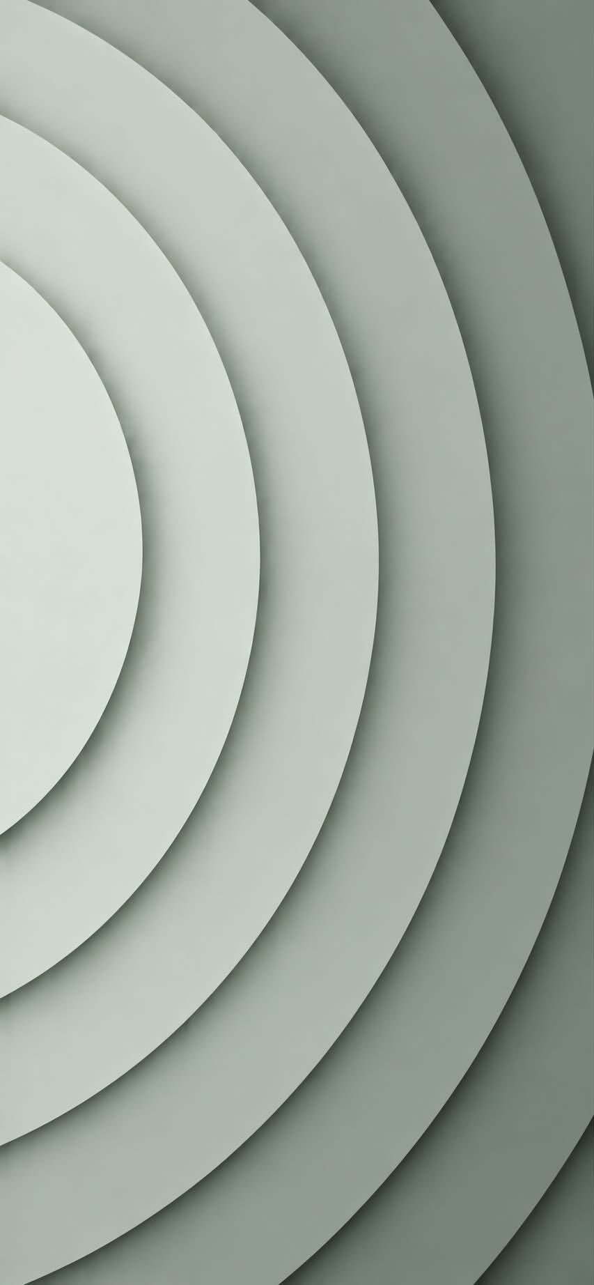 Le design de faible saturation convient aux utilisateurs cherchant une atmosphère de luxe discret