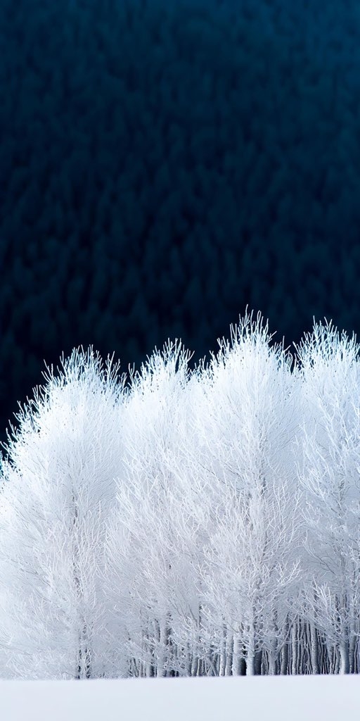 Rime-covered forest represents a minimalist Eastern style phone wallpaper