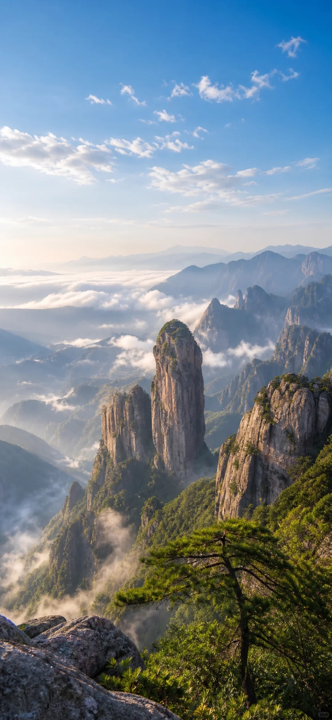 Un pino da la bienvenida a los visitantes en el mar de nubes de Yandang