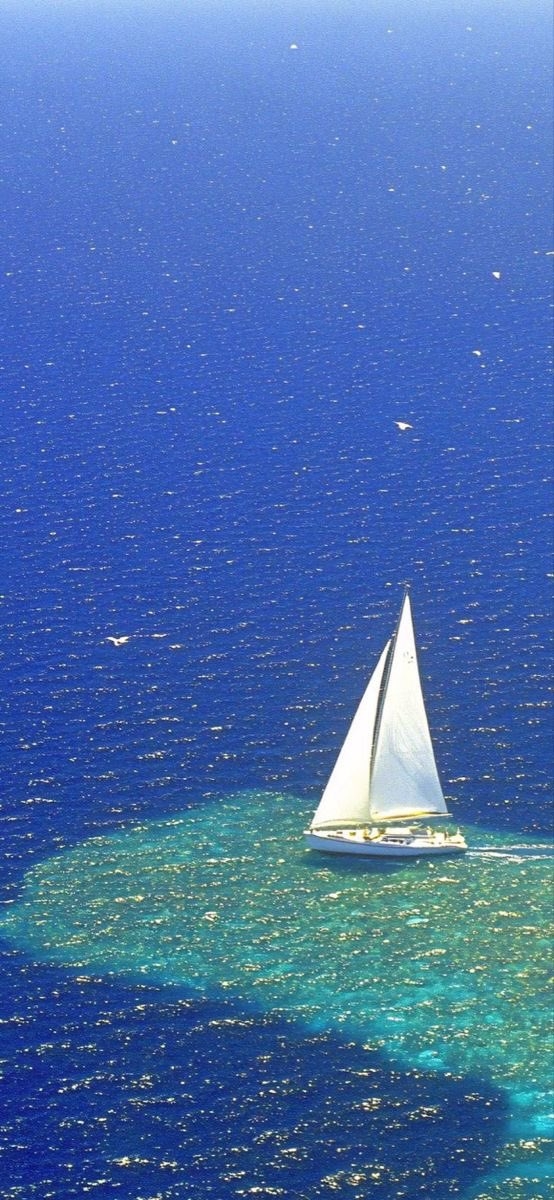 Um barco à vela branco deslizando sobre um oceano cobalto profundo