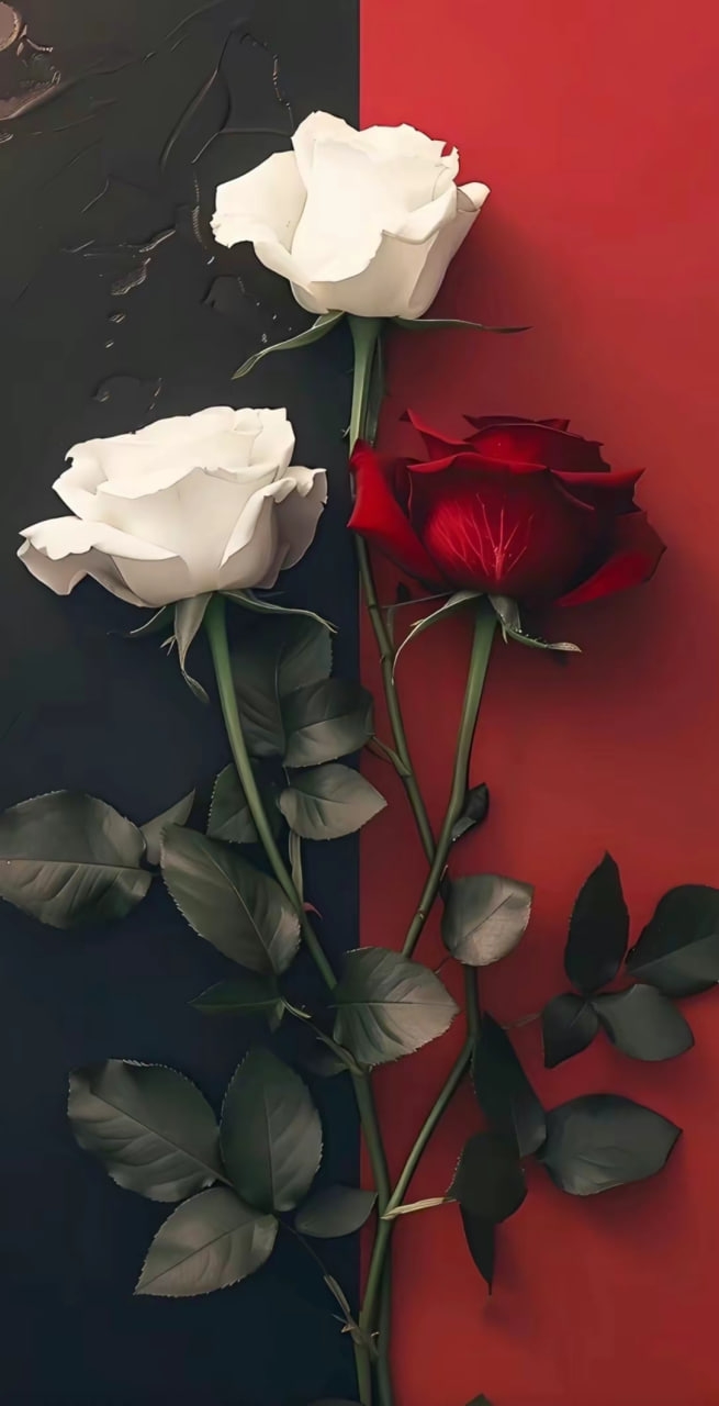 Wallpaper
