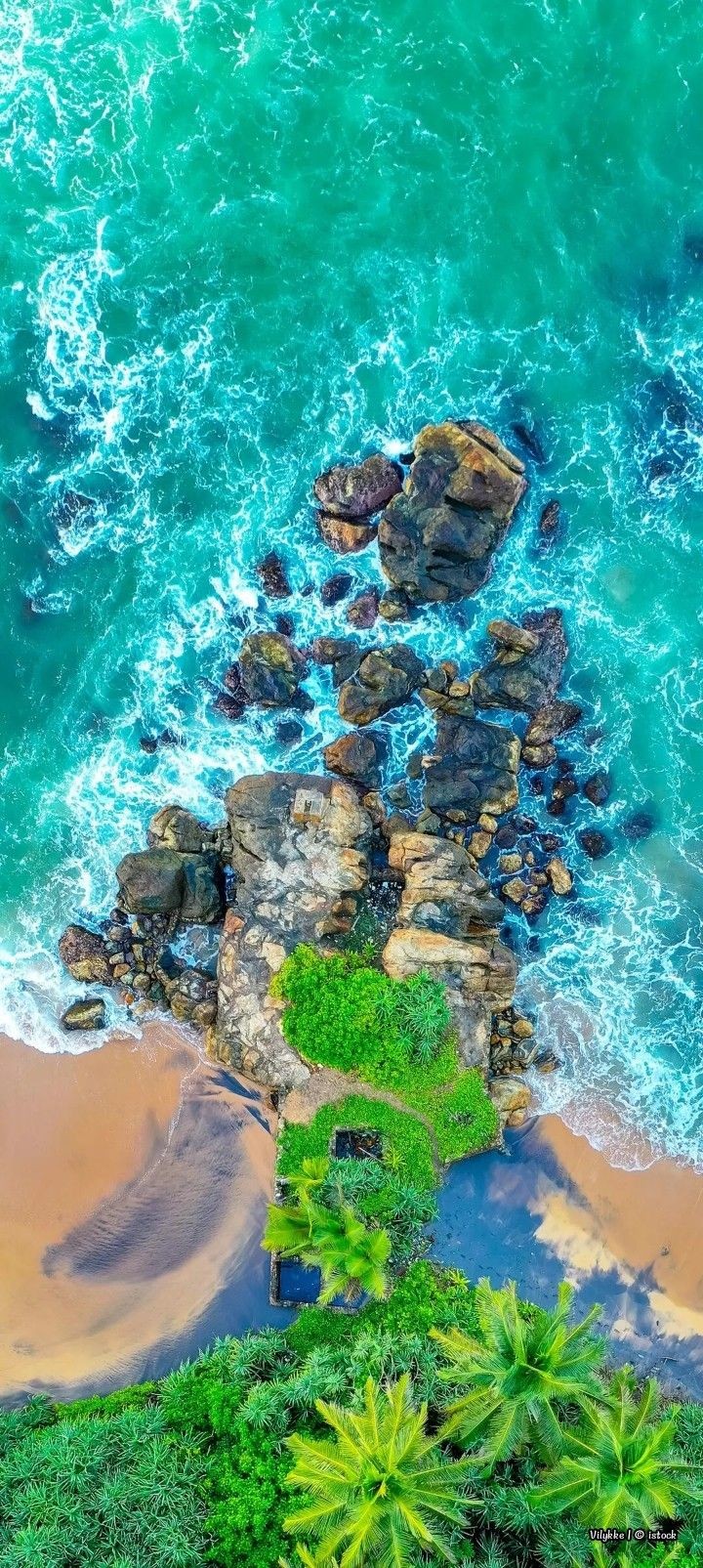HD Tapete mit Luftaufnahme von Palmen an der tropischen Küste ist perfekt für Urlaubsstimmung