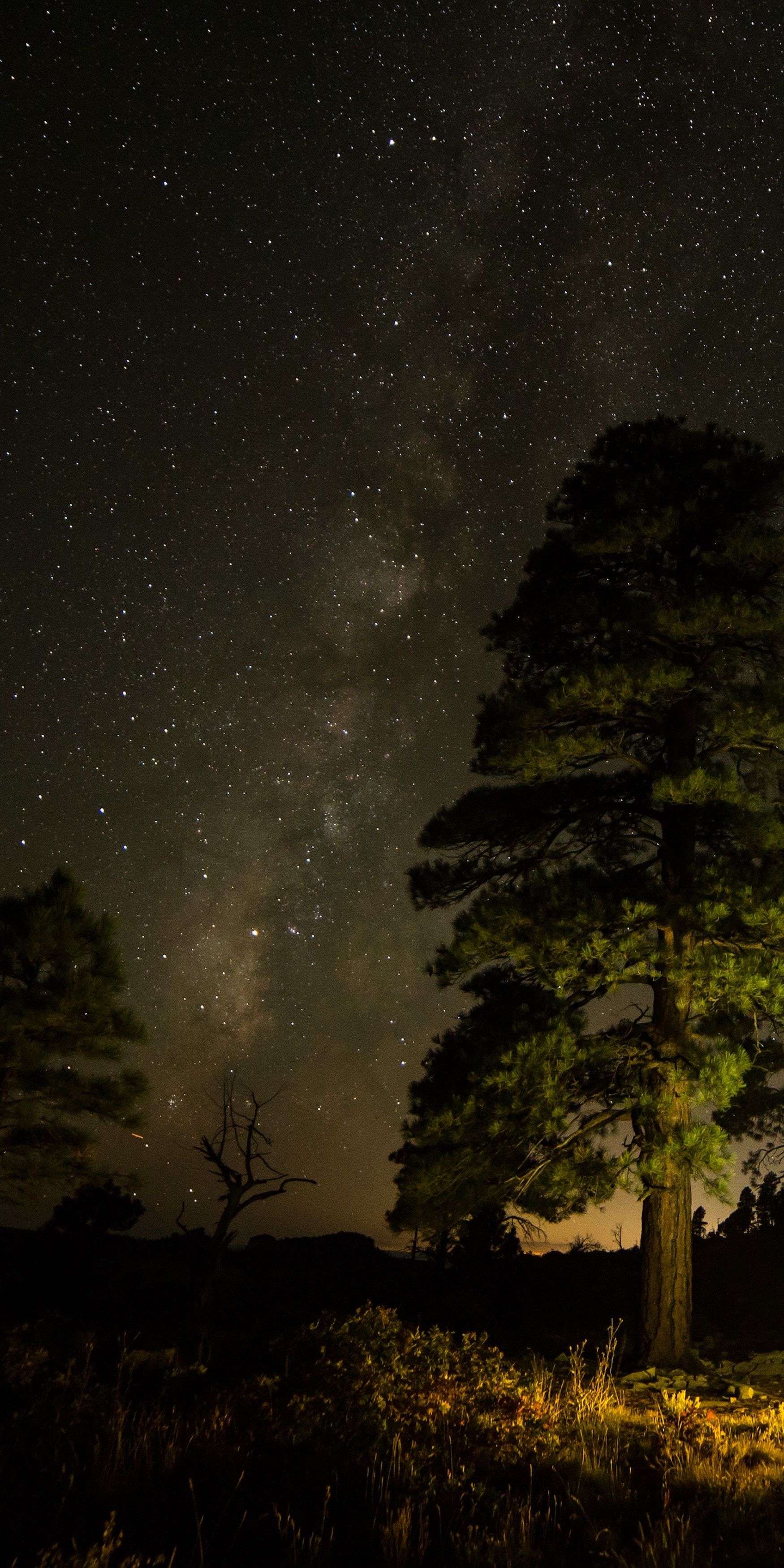 This is a high-resolution galaxy wallpaper showcasing stars and the light band of the Milky Way