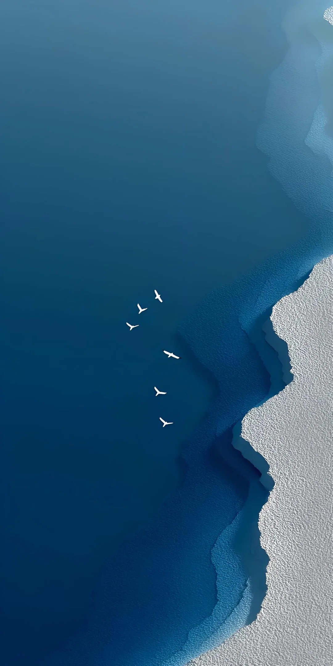 An der Grenze zwischen dem tiefblauen Meer und dem weißen Strand fliegen fünf weiße Möwen und zeigen die Schönheit der Natur