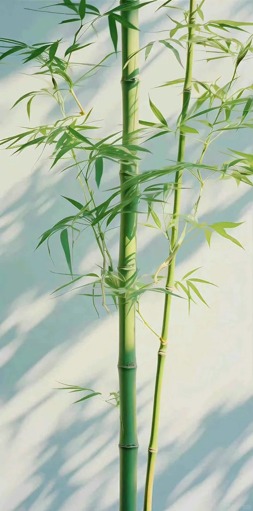 O papel de parede de sombra de bambu exibe a estética zen oriental com bambu e sombras de luz