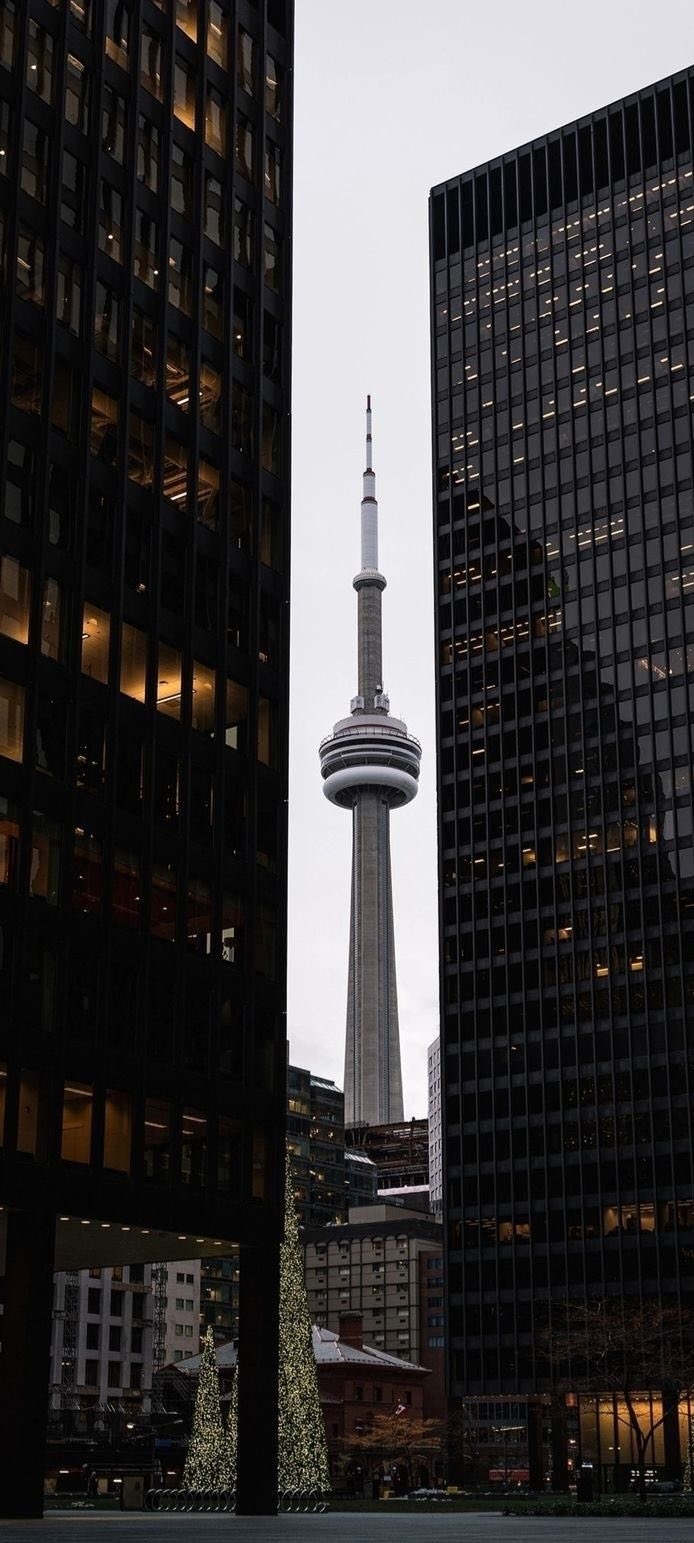 Toronto city wallpaper showcases the CN Tower alongside a Christmas tree ambiance