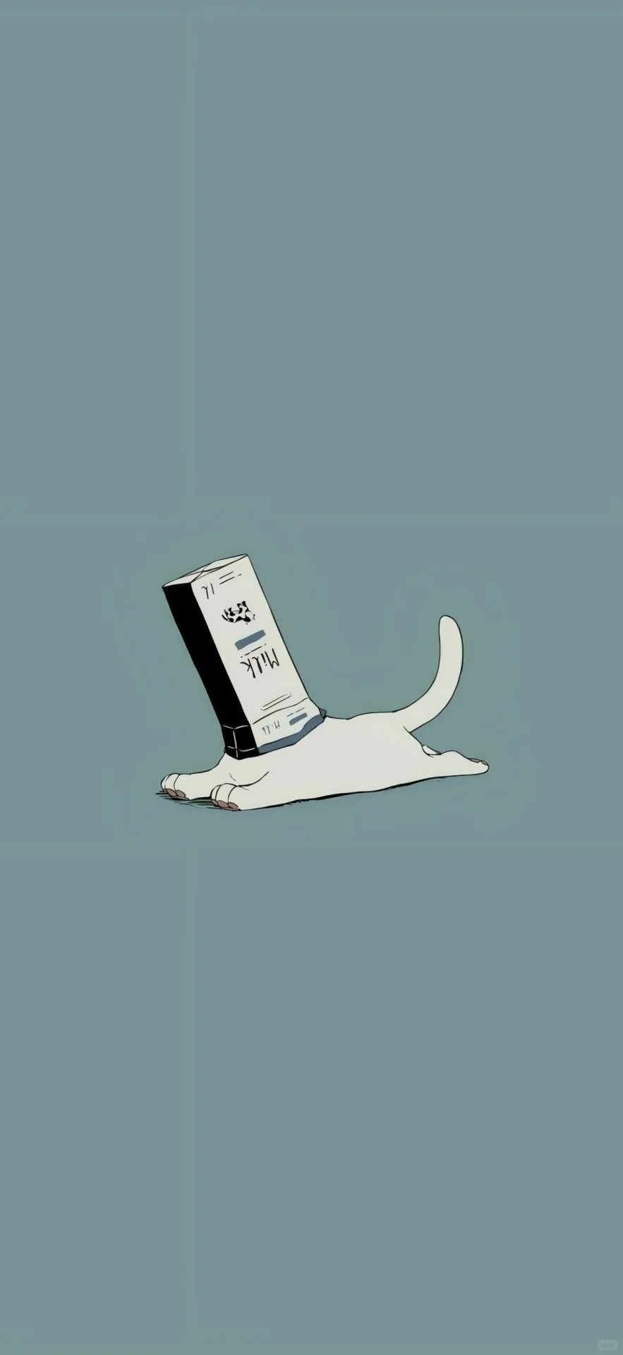 A fun wallpaper of a lazy white cat in a milk box