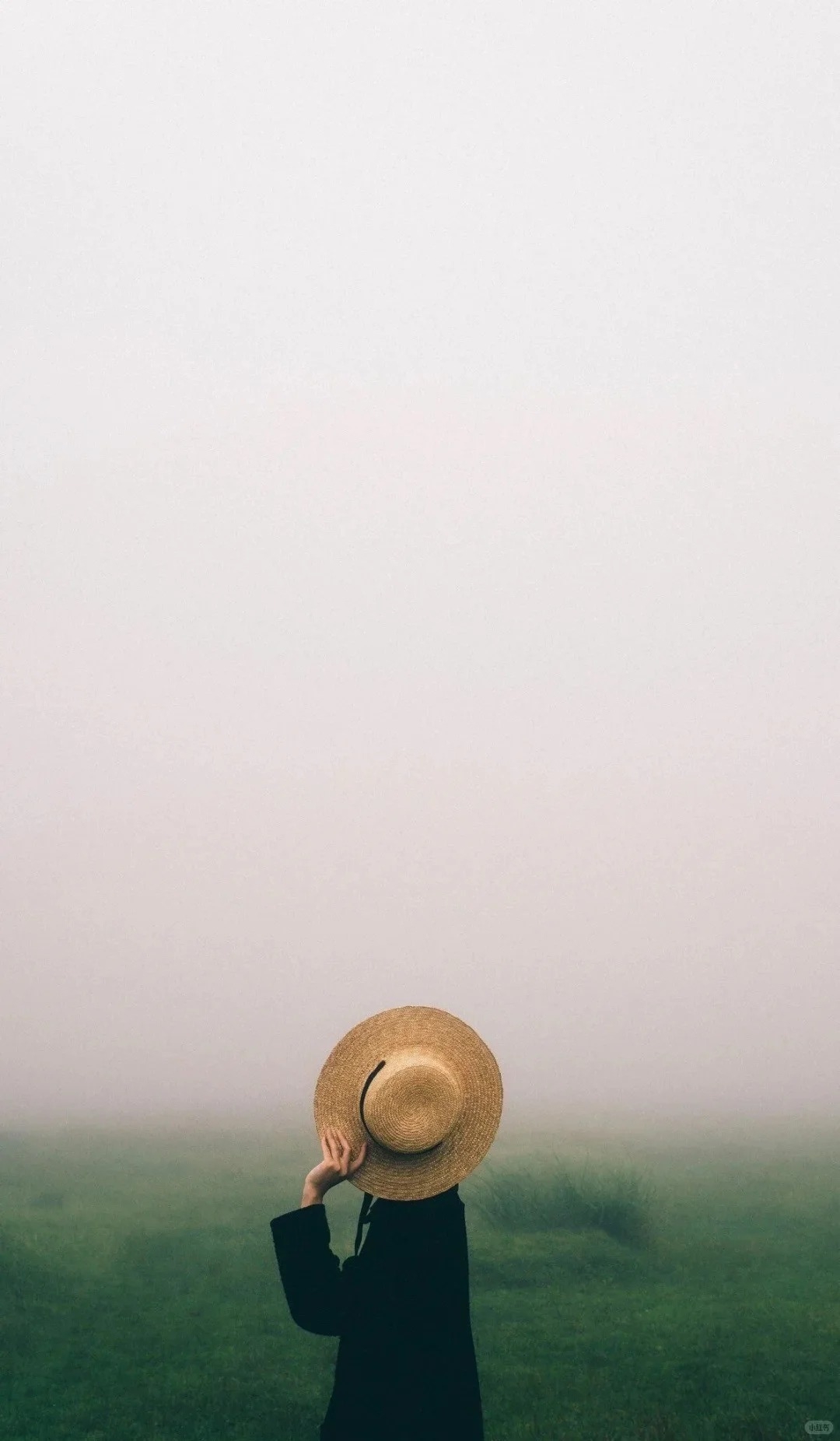 A figure in black on a foggy field creates a poetic movie atmosphere