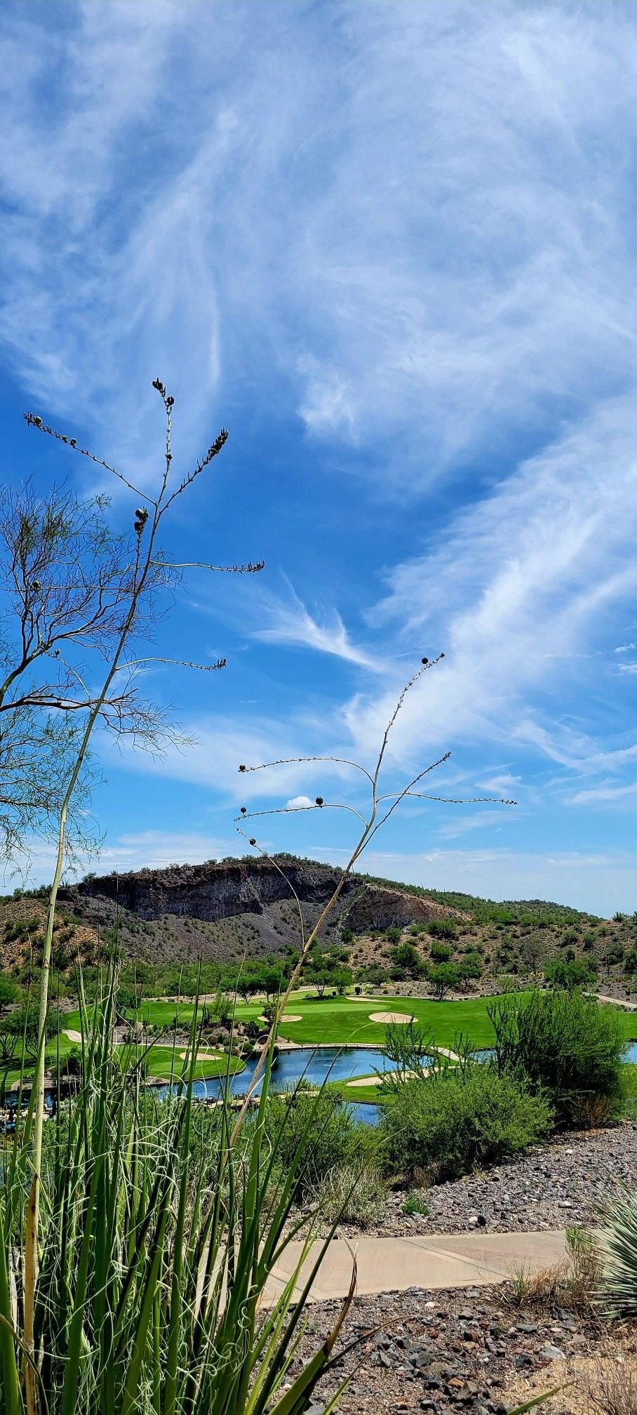 HD nature scenery wallpaper of a golf course