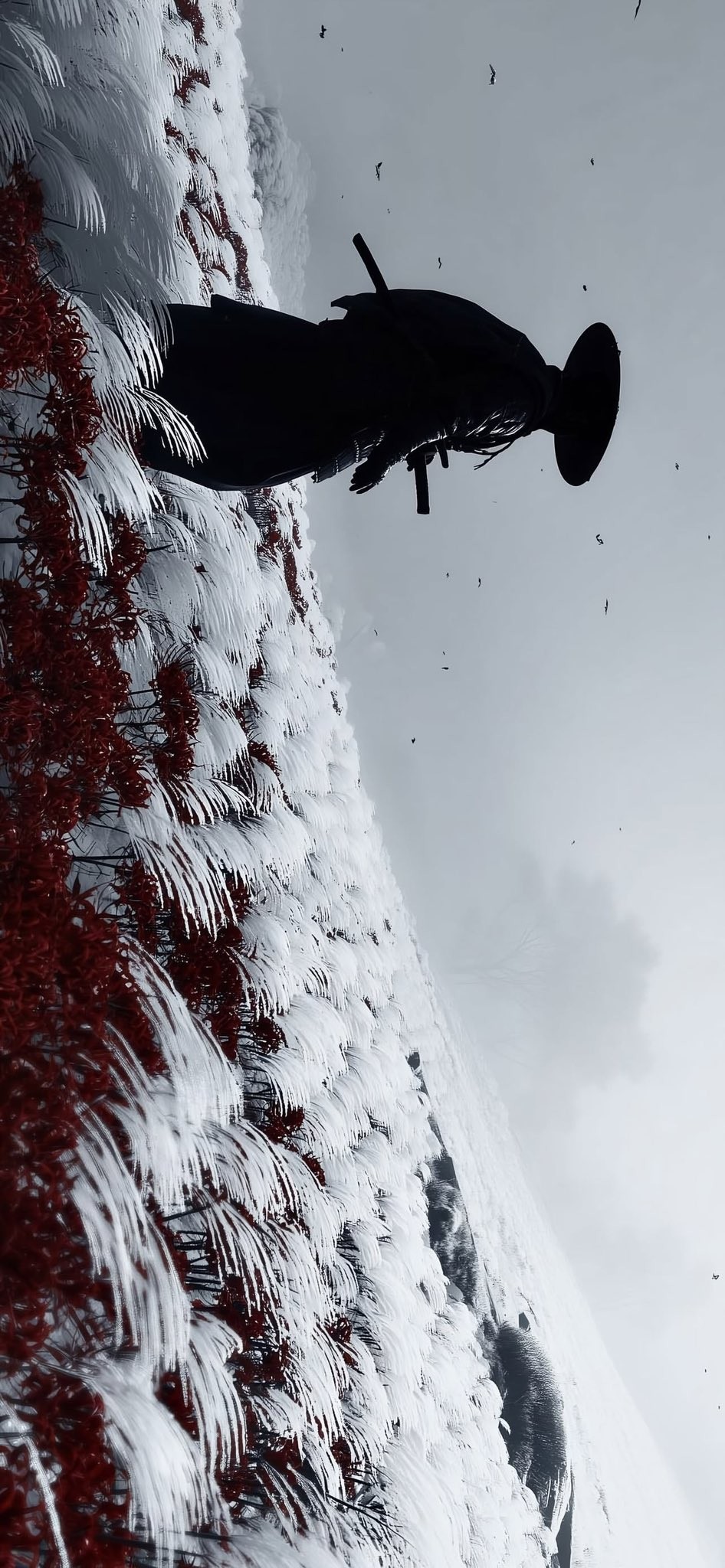 Wallpaper