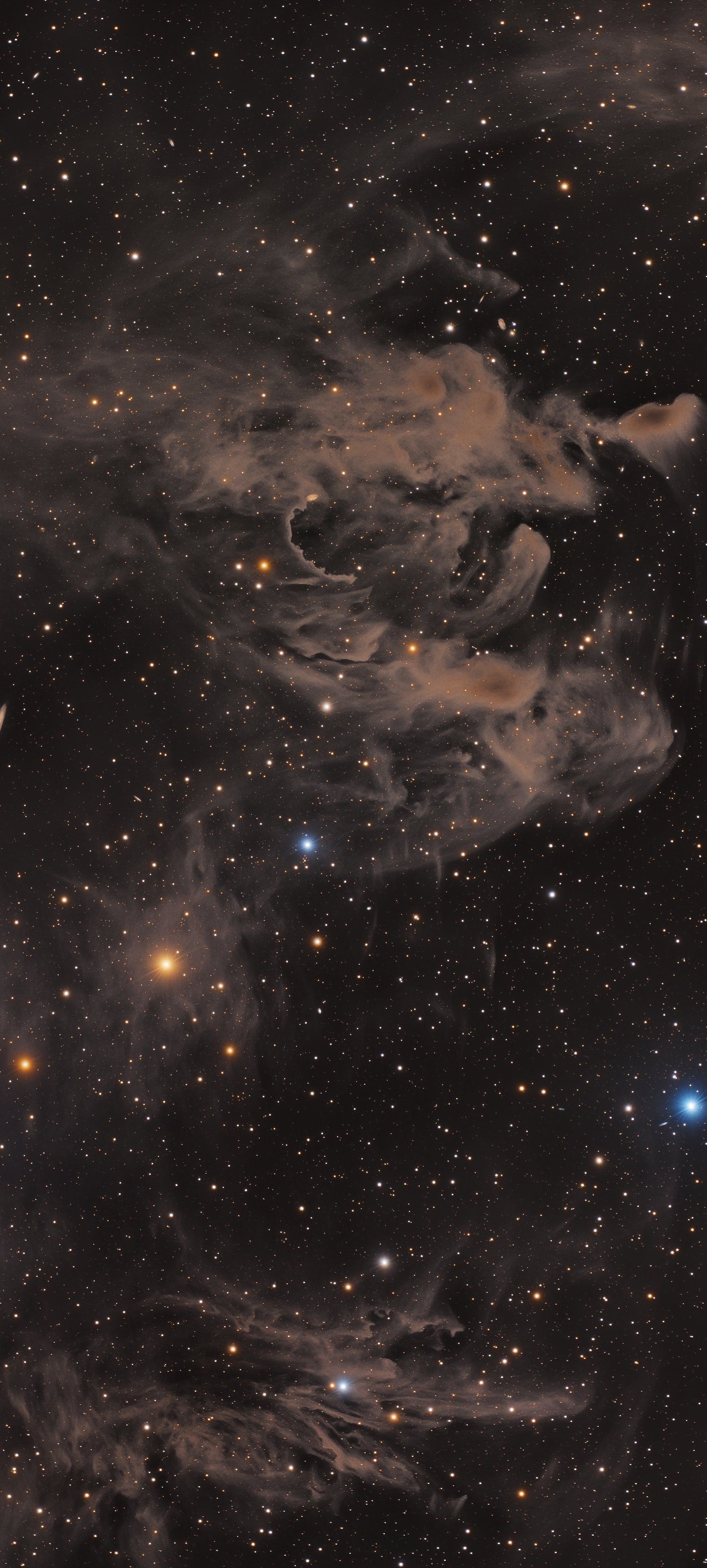 A vertical astrophotography view of a star-filled nebula evoking the vastness of deep space