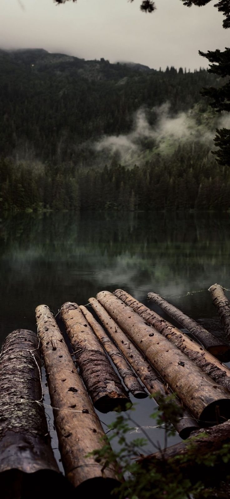 This is a landscape photograph of a misty lake surrounded by forested mountains