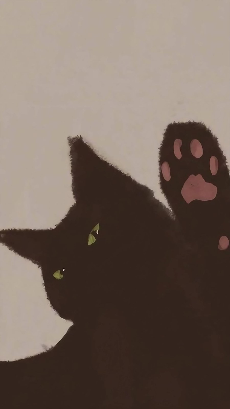 A black cat gazes up in the center of the frame with yellow eyes shining