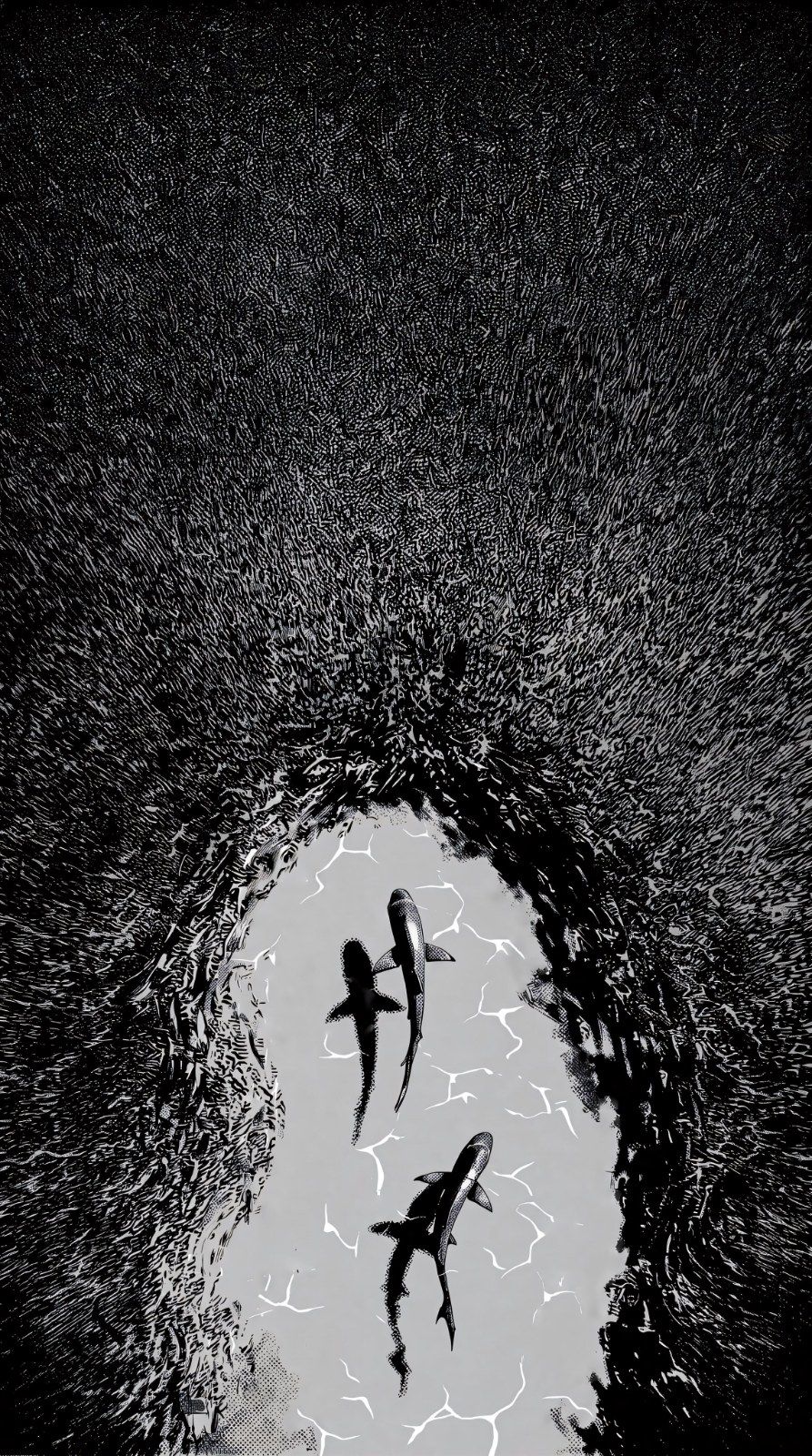 Drei Fische schwimmen in einem hellen Wasserbereich, während die Wasseroberfläche rissige Lichtflecken reflektiert