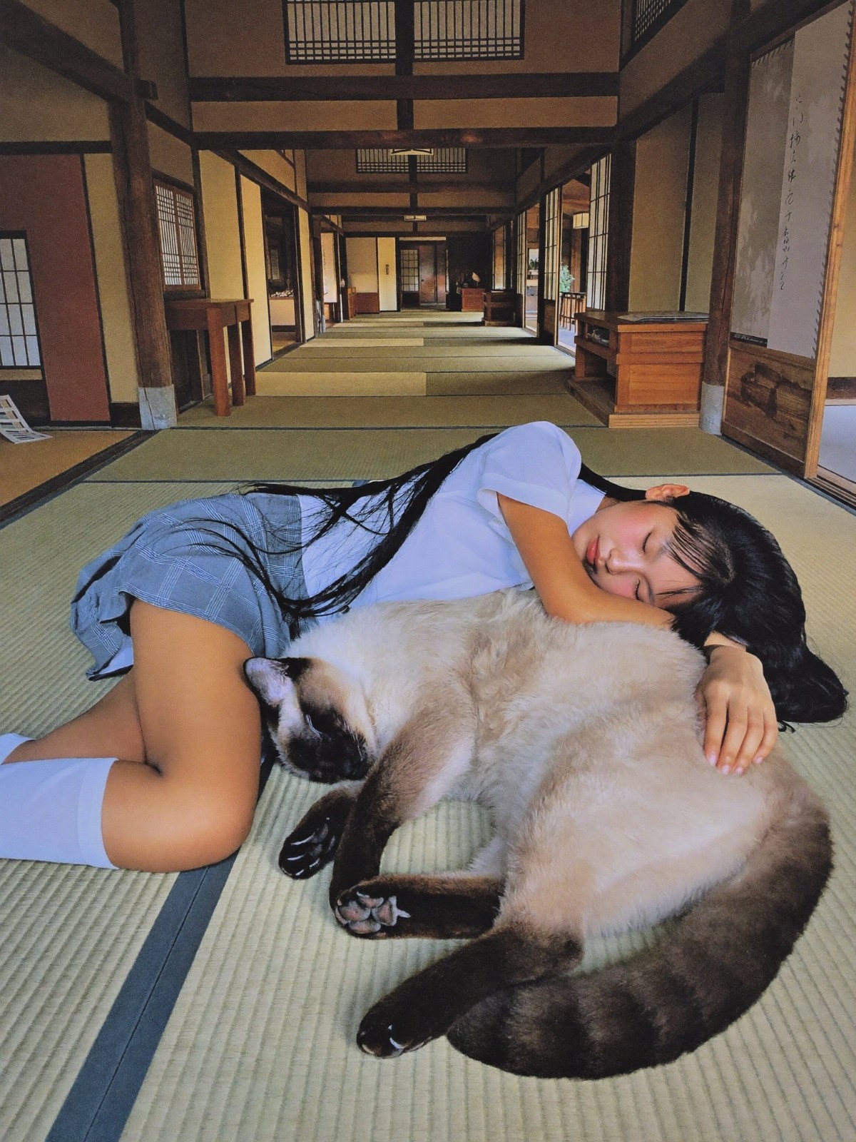 Uma garota com uniforme azul e branco está deitada em um tatame, dormindo com a cabeça apoiada em um grande gato siames