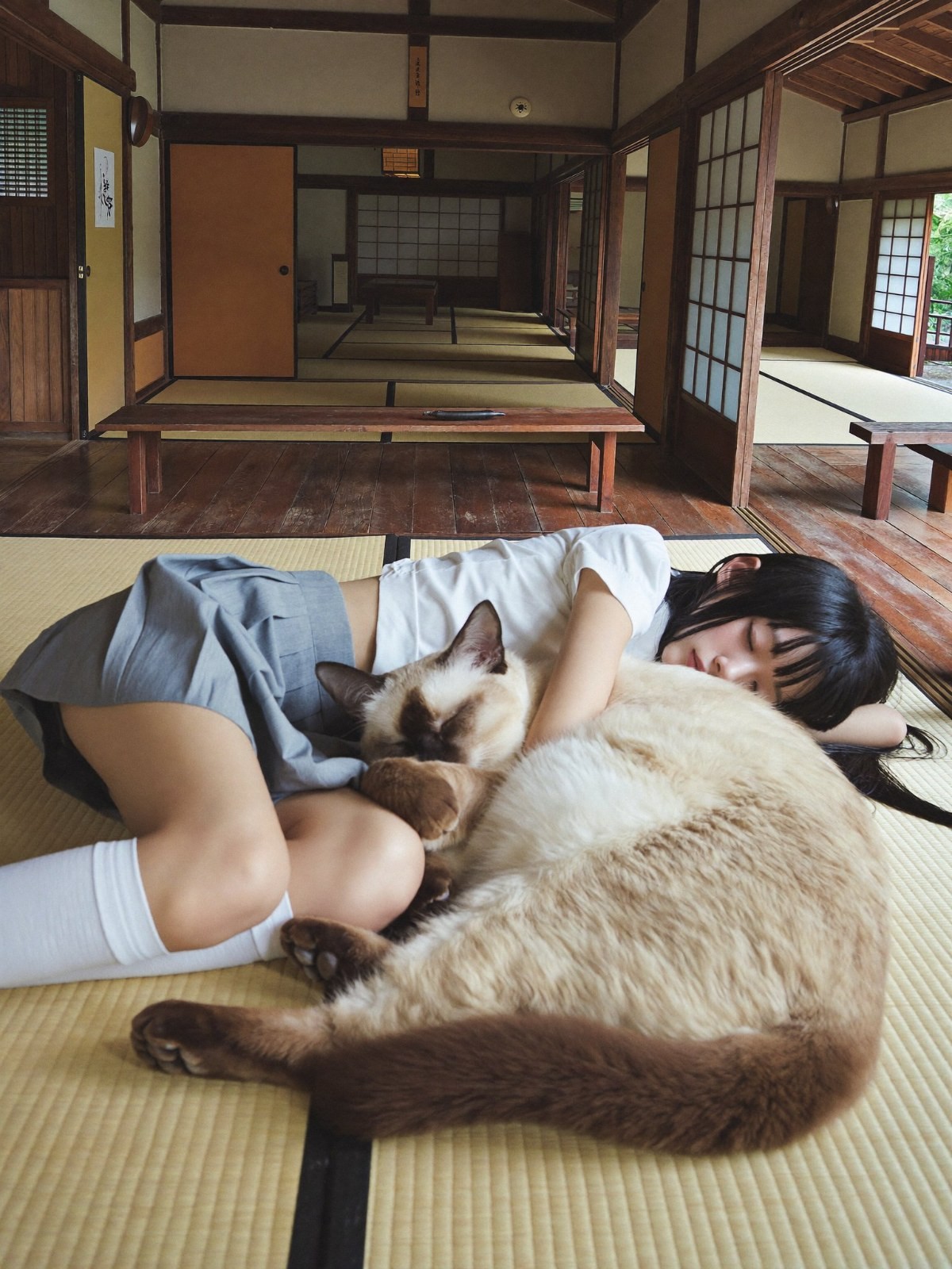 Uma jovem deita-se em um tatami com um enorme gato siames