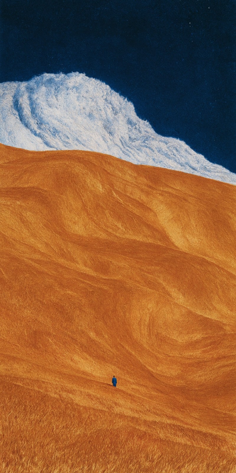 The scene contrasts the golden grassland with the towering snow-capped mountain