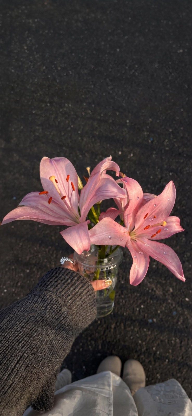 A hand in a dark gray sweater holds a transparent cup with blooming pink lilies