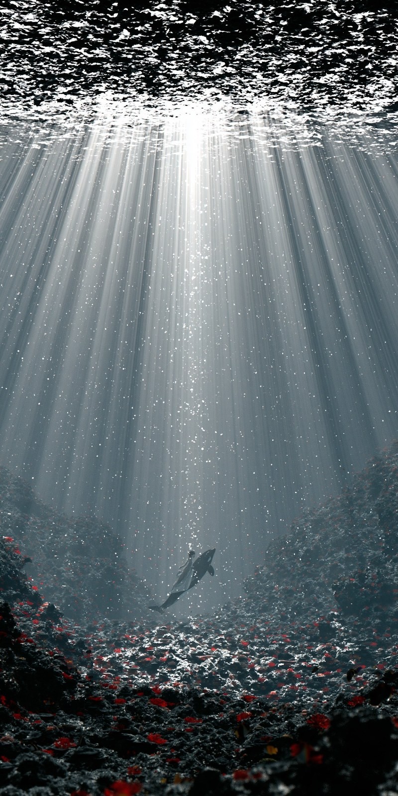 A diver swims alongside an orca in a mysterious underwater world