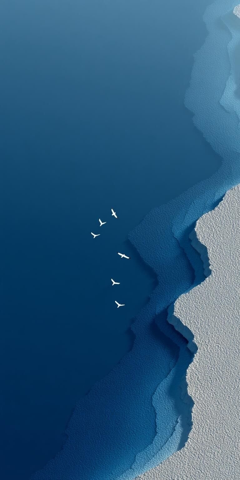 A high-angle shot contrasts deep blue waters with a light gray beach, featuring six white birds flying above the surface