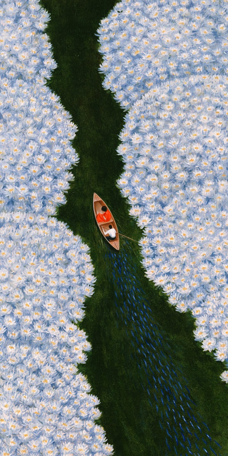 Two people row a narrow wooden boat through a dense white flower waterway