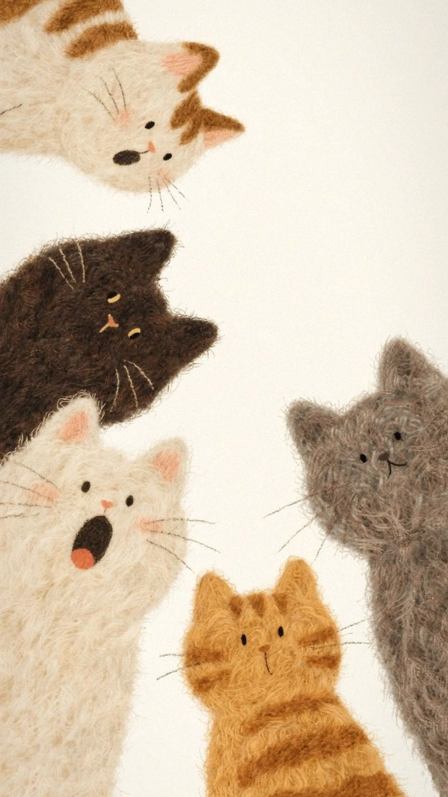 Five cats of different colors gather in a circular composition
