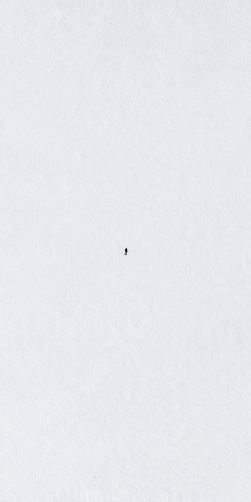 A small black silhouette stands alone on a vast light gray surface