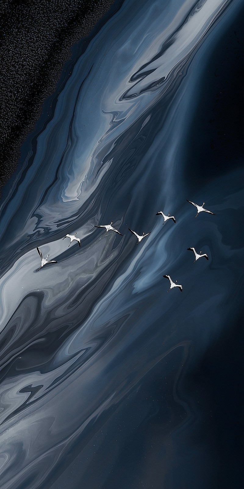 The deep blue background resembles the night sky with seven elegant birds flying across