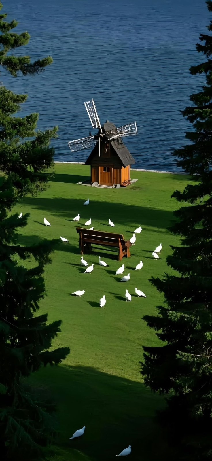 A brown windmill and white birds create a tranquil countryside scene by the lakeside