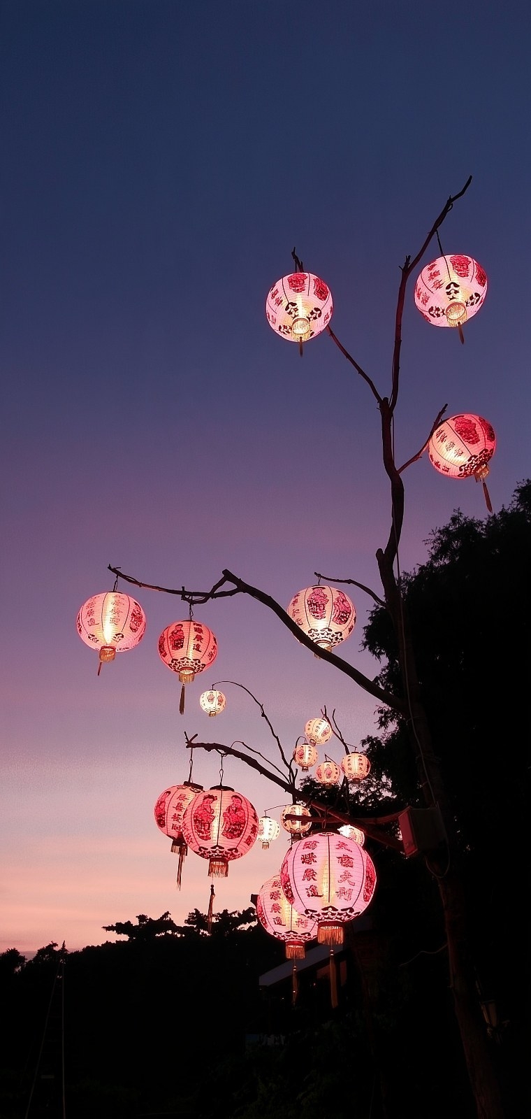 Des lanternes chinoises en papier suspendues à un arbre au crépuscule créent une ambiance festive orientale